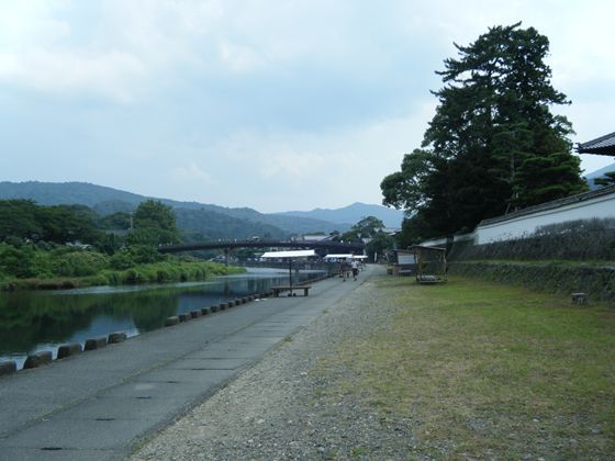 網のブログ-五十鈴川