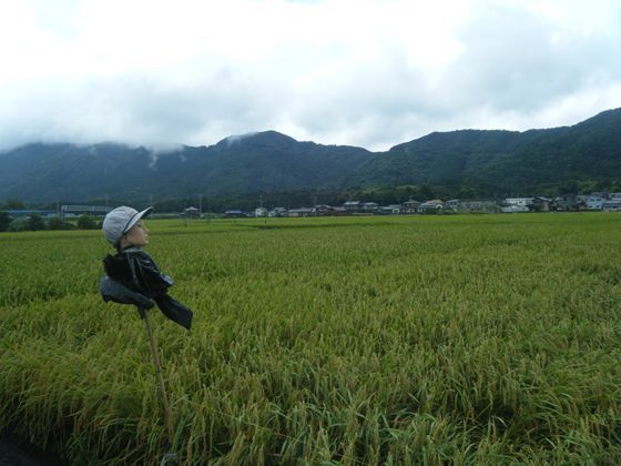 田舎自慢が定番化してきたｗ