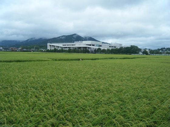 網のブログ-田舎じまんｗ