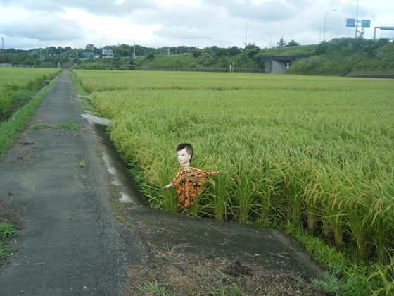 網のブログ-田舎じまんｗ