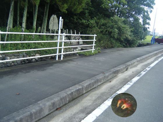 網のブログ-田舎じまんｗ