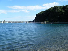 網のブログ-海
