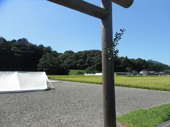 網のブログ-神宮神田