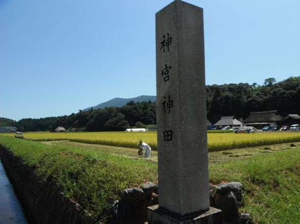 網のブログ-神宮神田