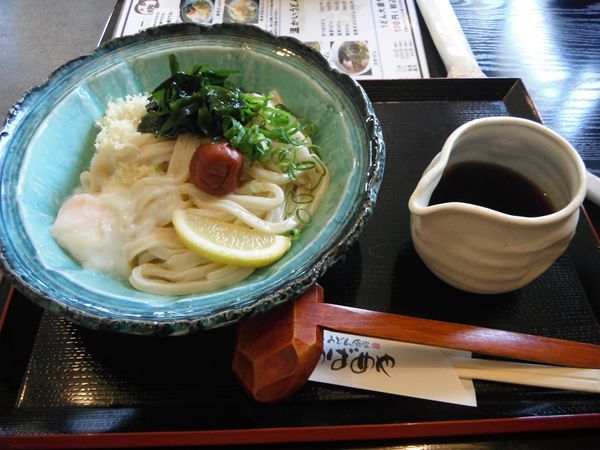 網のブログ-ぶっかけ梅若うどん