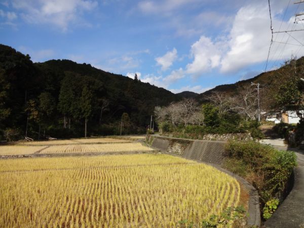 山とか海とか