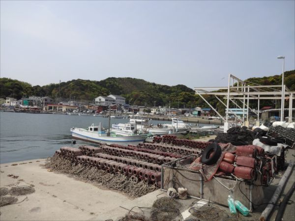 網のブログ-小浜漁港