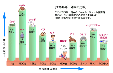 エネルギー効率だったのか