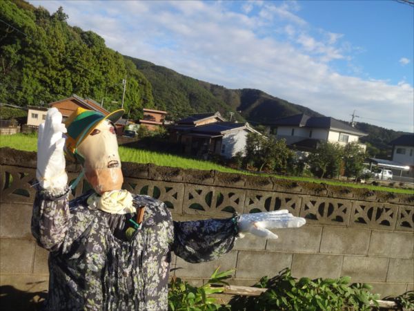 網のブログ-かかし