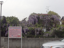 廃屋満タン