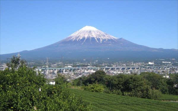 富士の山い