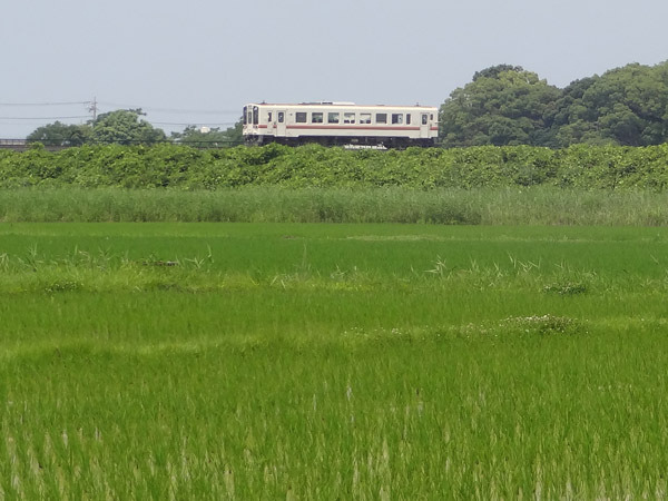 文明格差