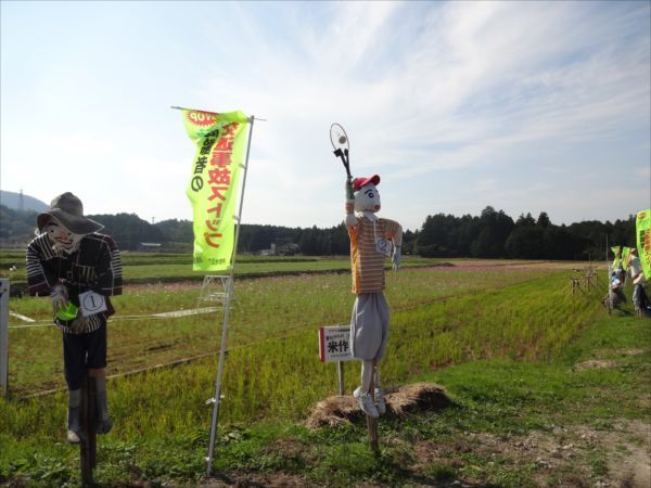 地元老人会の道楽かと