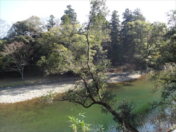 高麗広へ行ってきた