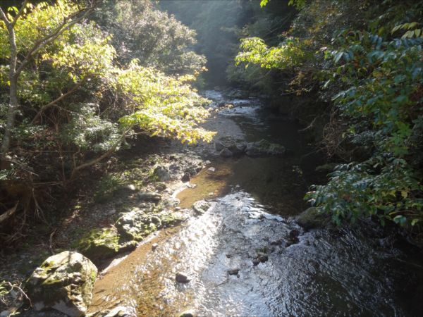 神宮の山