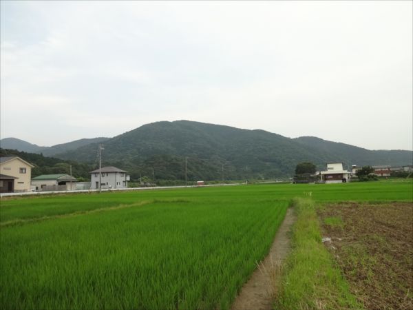 6月の田舎だより