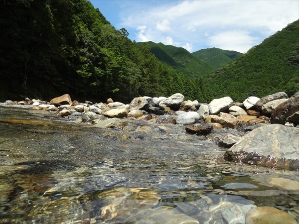 いよいよ夏はそこまで