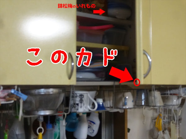 禿←この漢字、馬鹿にしてる感が凄い