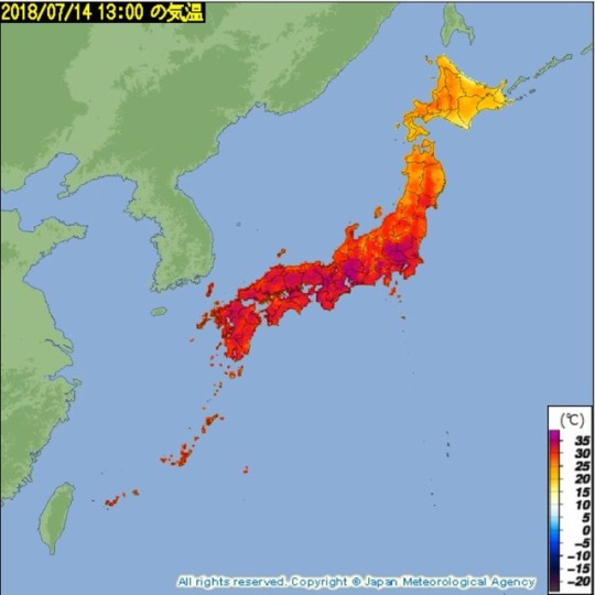 なんちゃって台湾