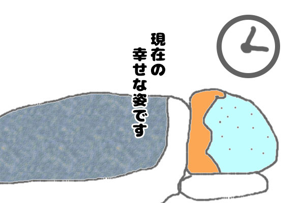 甘美な睡眠ならず