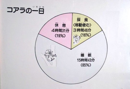 中途半端な竹