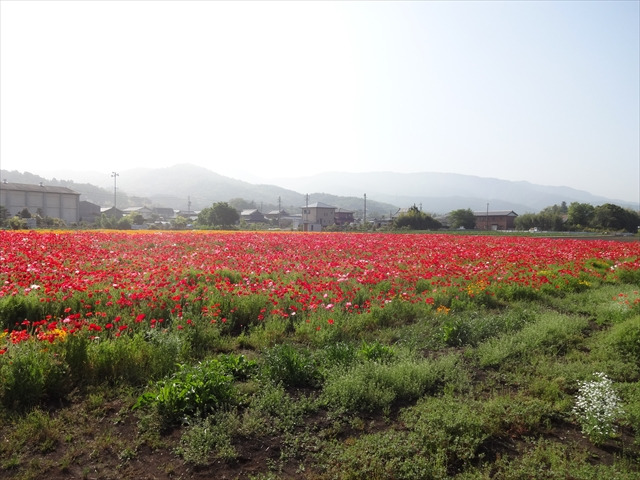 杞憂だといいけど