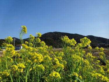 いきなりエクストリュージョン