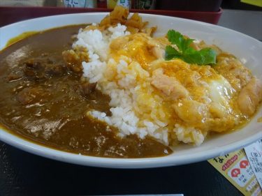 風呂釜の寿命と親子とカレーと加齢