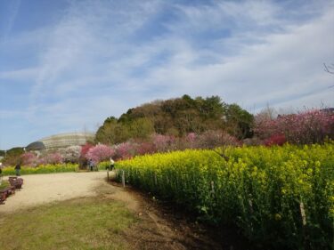 朝熊山麓　花の広場