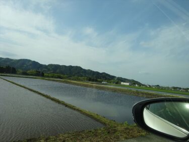 田んぼが水で満たされました