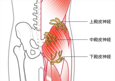 まさか自分が神経痛なんかになるとは