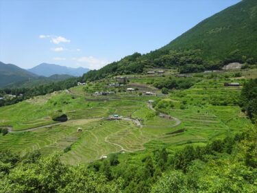 丸山千枚田