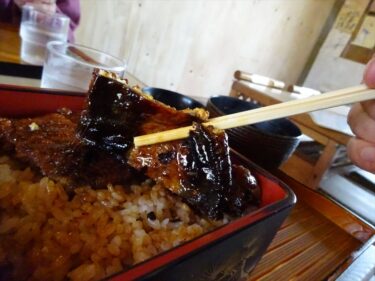 確定申告はうなぎの味 2024
