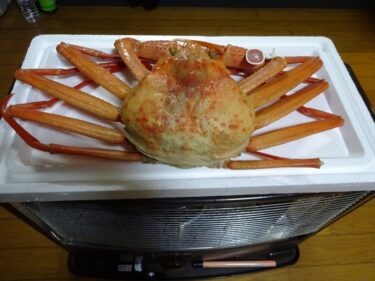 富山の蟹