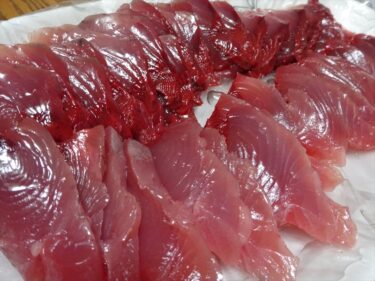 美味しい5月の鰹