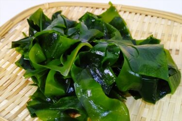 新春のワカメ