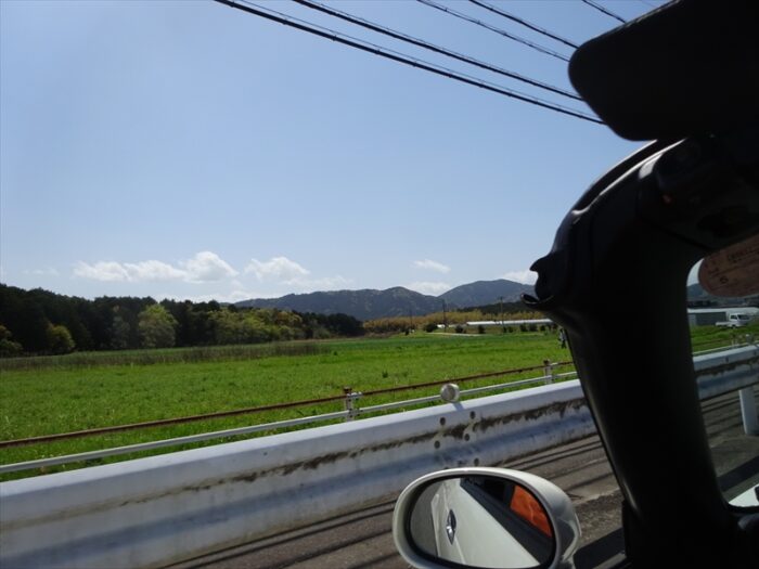 麦畑は緑の絨毯