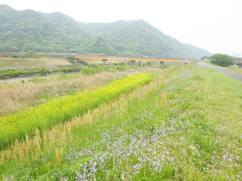 河原