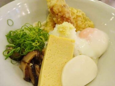 田舎うどん