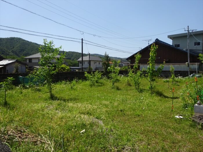 果樹園(予定)