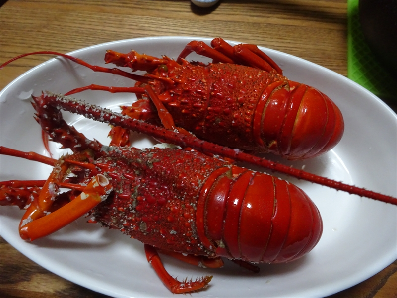 伊勢海老
