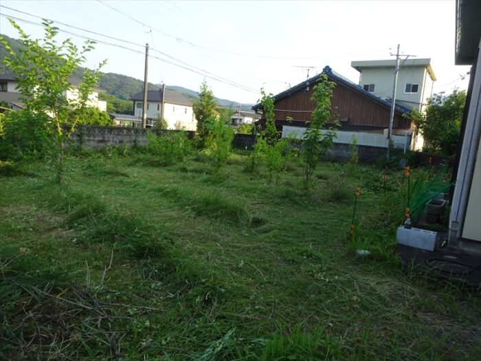 果樹園(予定)