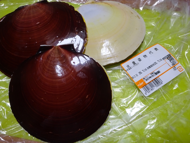 月日貝
