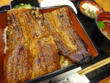 うな重