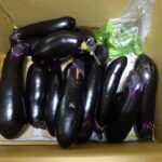 夏野菜おせち一の重
