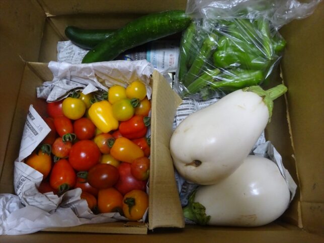 夏野菜おせち二の重