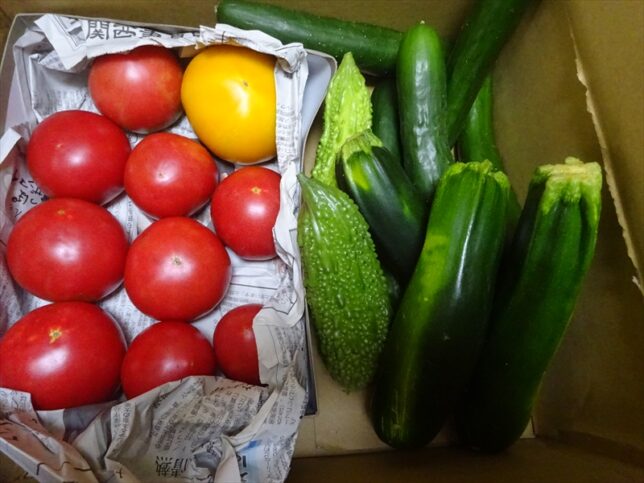 夏野菜おせち三の重