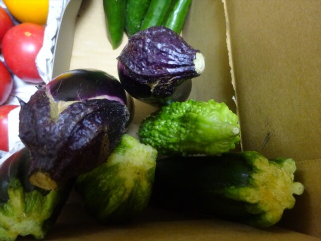 新鮮野菜の切り口