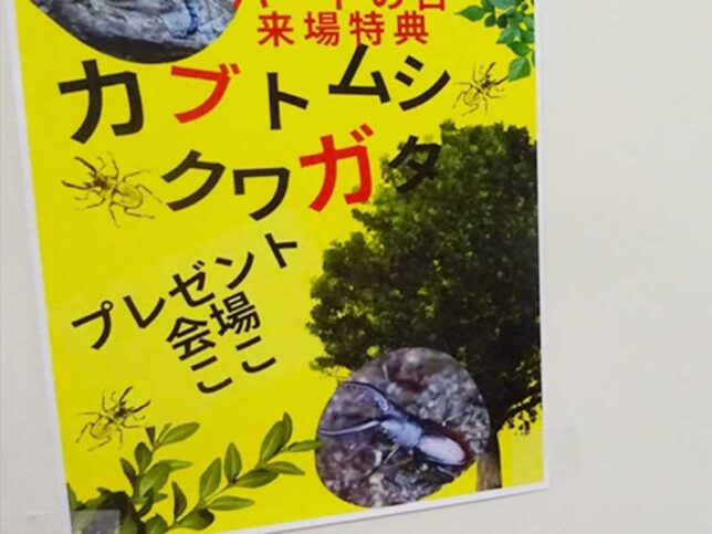 イベントの内容