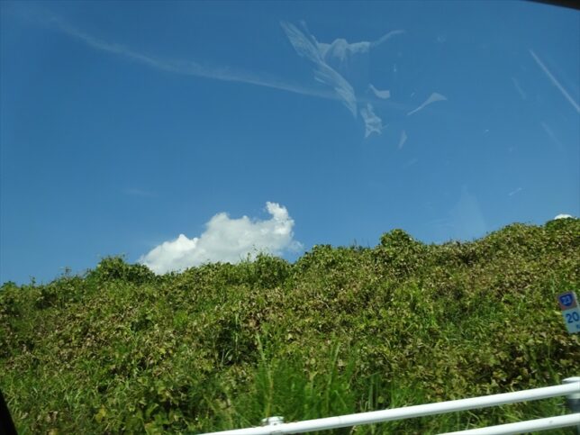 クズまで枯れて